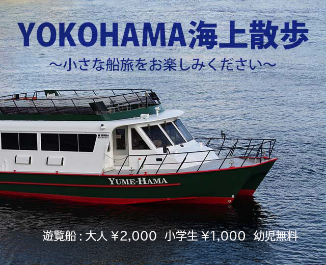 定期クルーズ